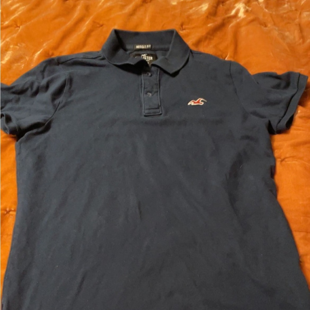 Hollister Polo
